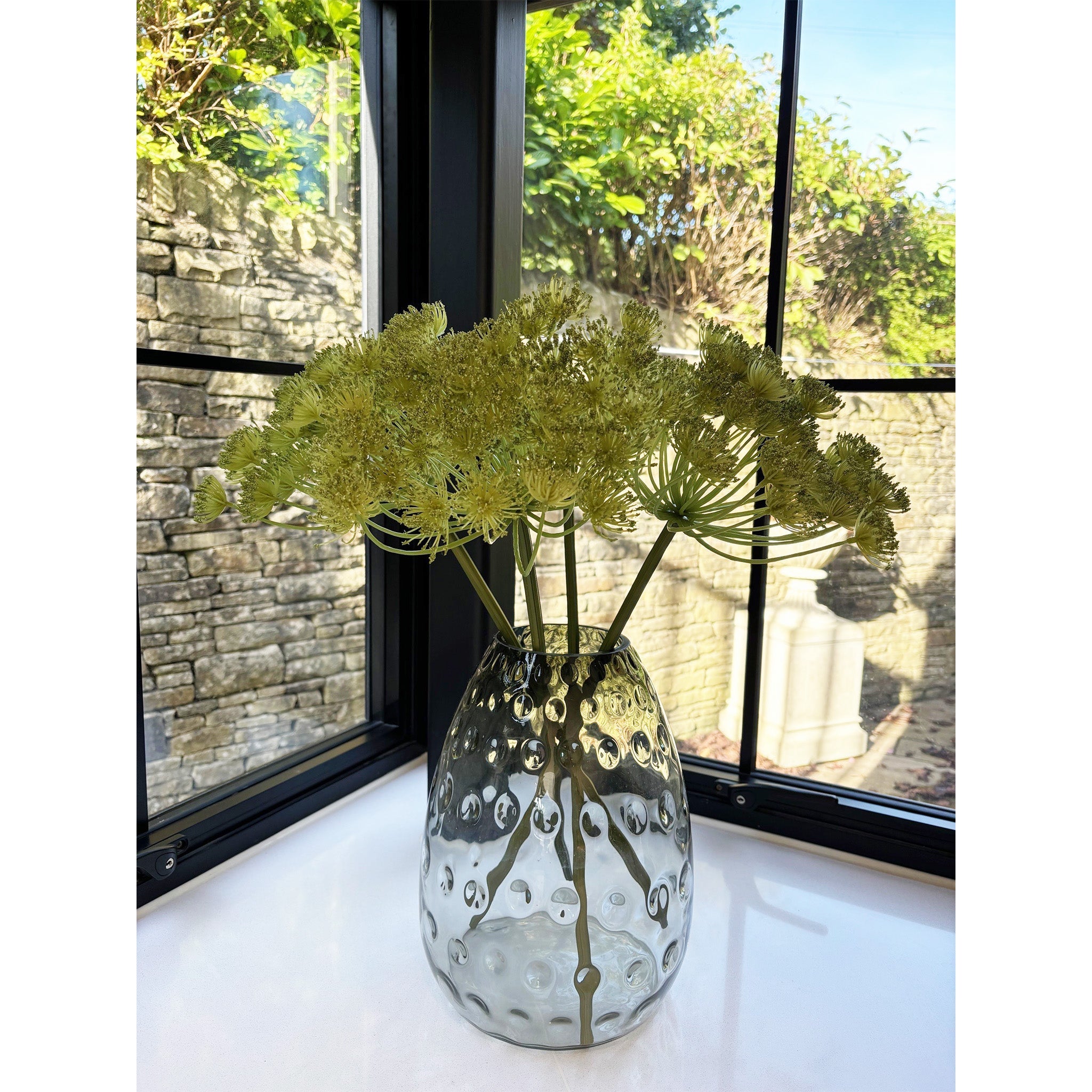 Daucus Carota Stem - Pack of 6